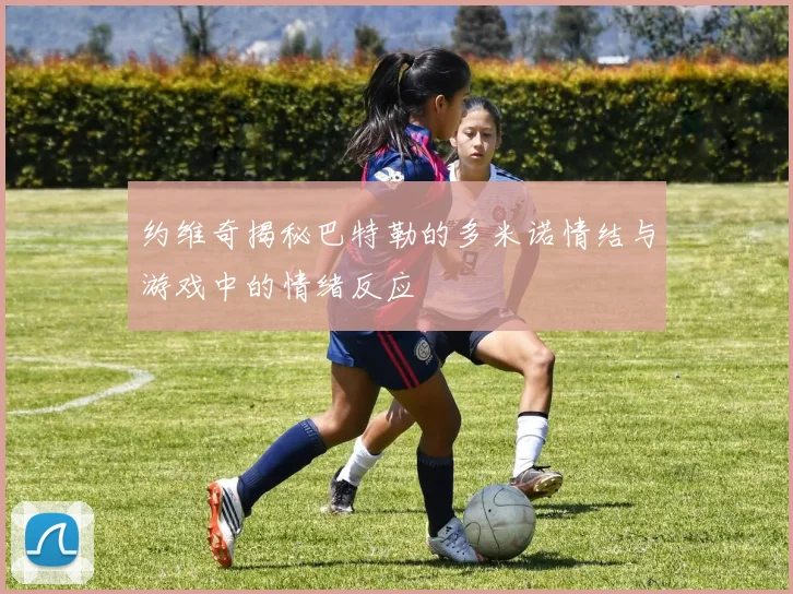 约维奇揭秘巴特勒的多米诺情结与游戏中的情绪反应