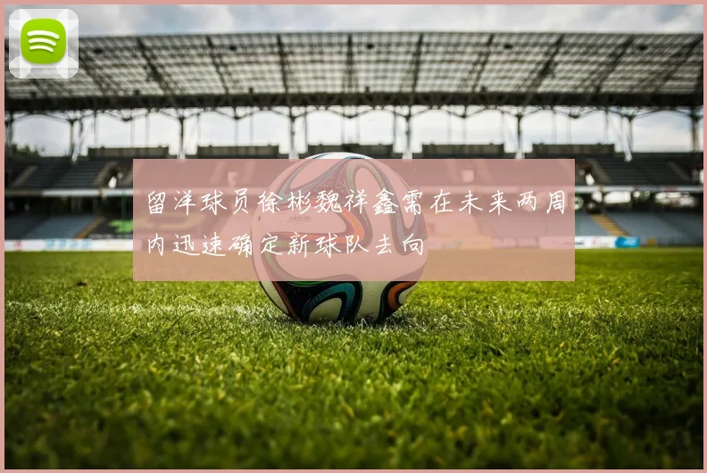 留洋球员徐彬魏祥鑫需在未来两周内迅速确定新球队去向
