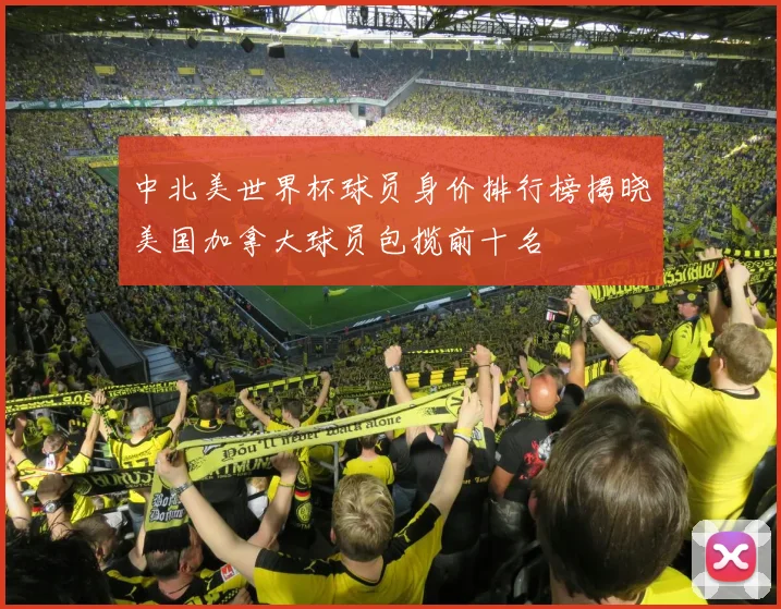 中北美世界杯球员身价排行榜揭晓美国加拿大球员包揽前十名